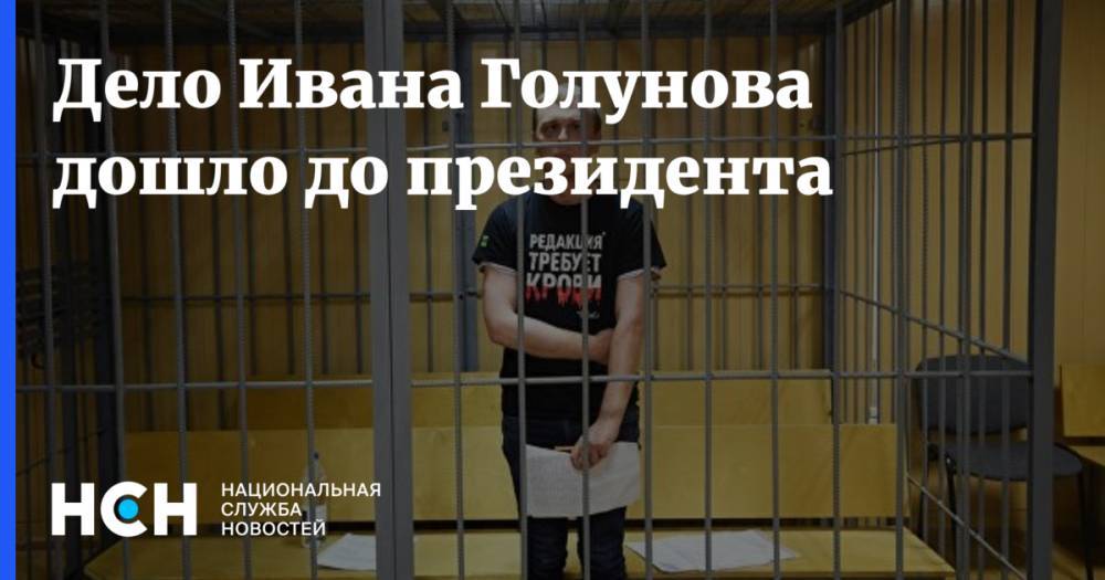 Владимир Путин - Татьяна Москалькова - Дело Ивана Голунова дошло до президента - nsn.fm - Москва - Россия