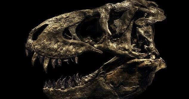 Потрясающая подборка фотографий скелетов динозавров «взорвала» Сеть - popmech.ru - Германия