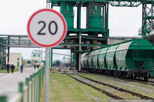 «Содружество» договорилось о строительстве завода в Курской области стоимостью 20 млрд - newkaliningrad.ru - Россия - Санкт-Петербург - Курская обл.