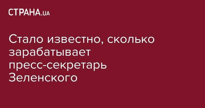 Владимир Зеленский - Юлия Мендель - Стало известно, сколько зарабатывает пресс-секретарь Зеленского - strana.ua - Украина - New York
