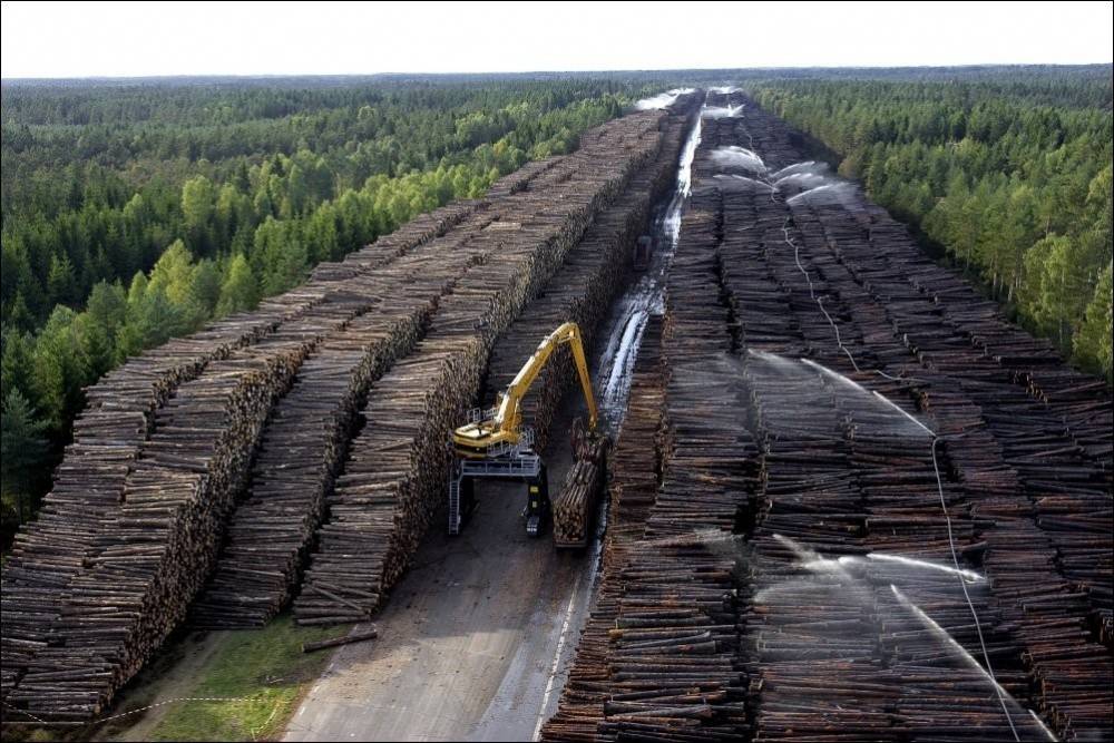 Вывоз российского леса в Китай предложили освободить от налогов - ghall.com.ua - Россия - Китай - Приморье край - Хабаровск - Калининградская обл.
