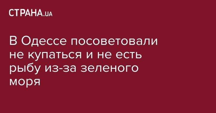 В Одессе посоветовали не купаться и не есть рыбу из-за зеленого моря - strana.ua - Одесса - Одесская обл.