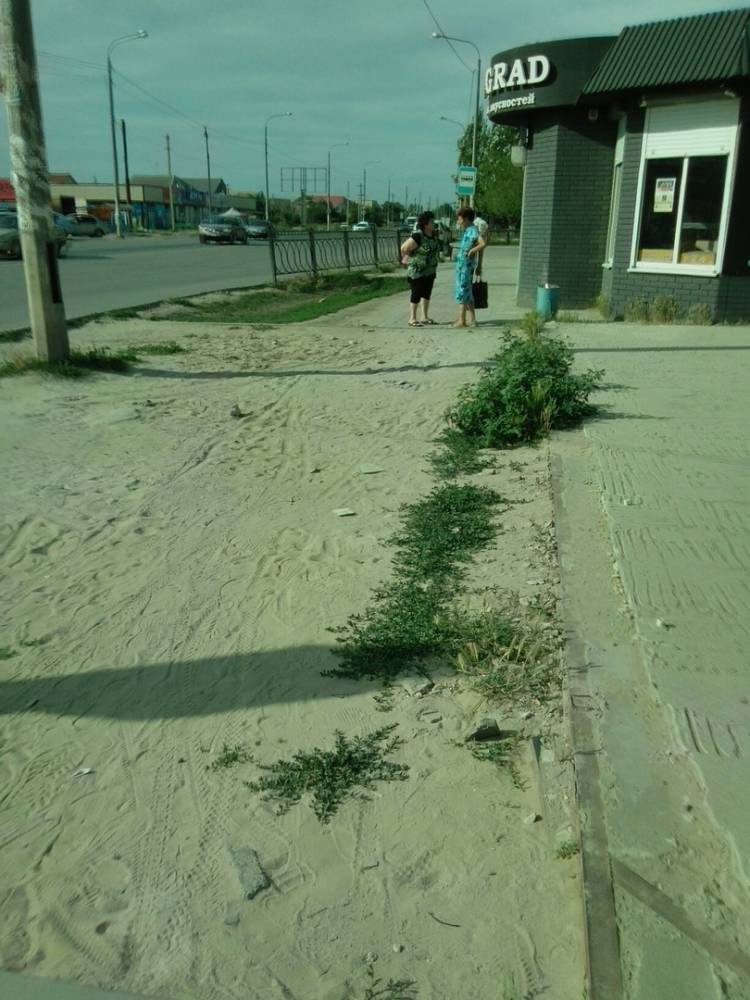 В Астрахани работники снесенного магазина прихватили с собой тротуарную плитку - astravolga.ru - Астрахань