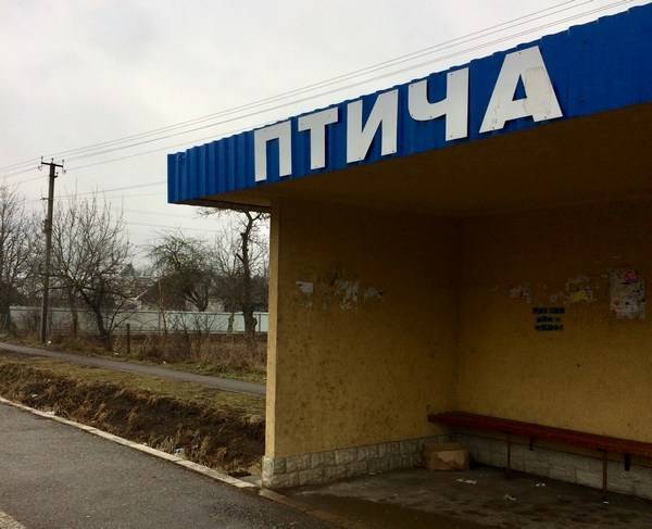 Украина как Птыча небесная - argumentua.com - Украина - Ровенская обл.