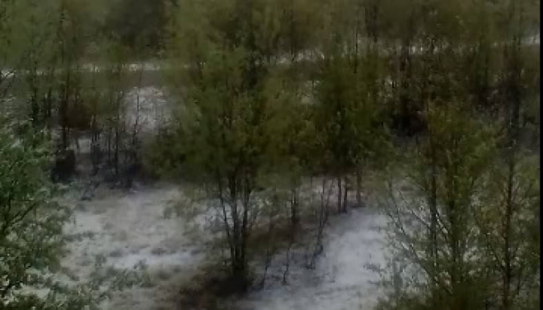Время для июньских снеговиков: в Мурманской области выпал снег - 365news.biz - Карелия - Мурманская обл.