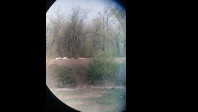 Александр Мотузяник - На Донбассе ранен украинский военный - real-vin.com - Украина