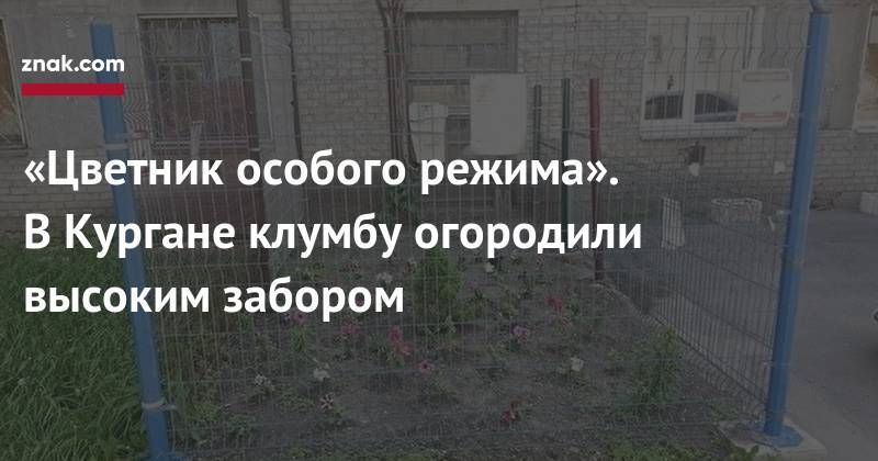 «Цветник особого режима». В&nbsp;Кургане клумбу огородили высоким забором - znak.com - Курган