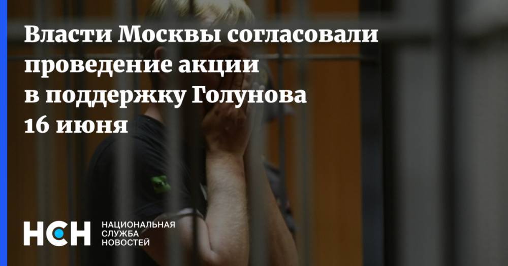 Владимир Соловьев - Иван Голунов - Екатерина Винокурова - Павел Гусев - Власти Москвы согласовали проведение акции в поддержку Голунова 16 июня - nsn.fm - Москва - Россия