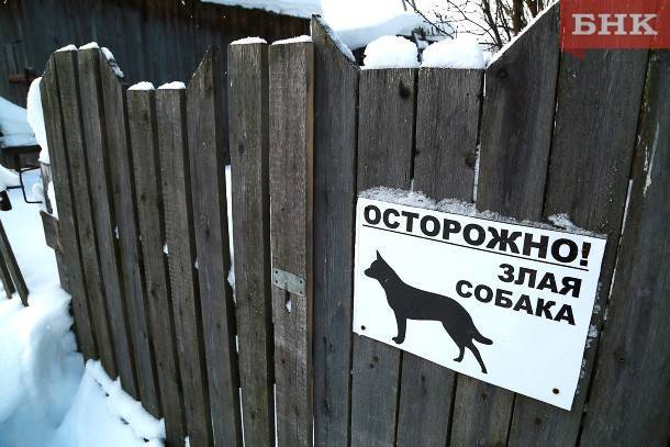 Виктор Бобыря - Житель Визинги выстрелил в собаку из арбалета - bnkomi.ru - район Сысольский