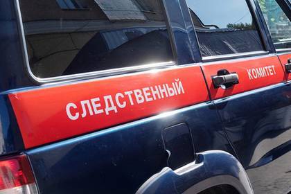 Светлана Петренко - Иван Голунов - Задержавшими Голунова полицейскими занялись в СКР - lenta.ru - Россия