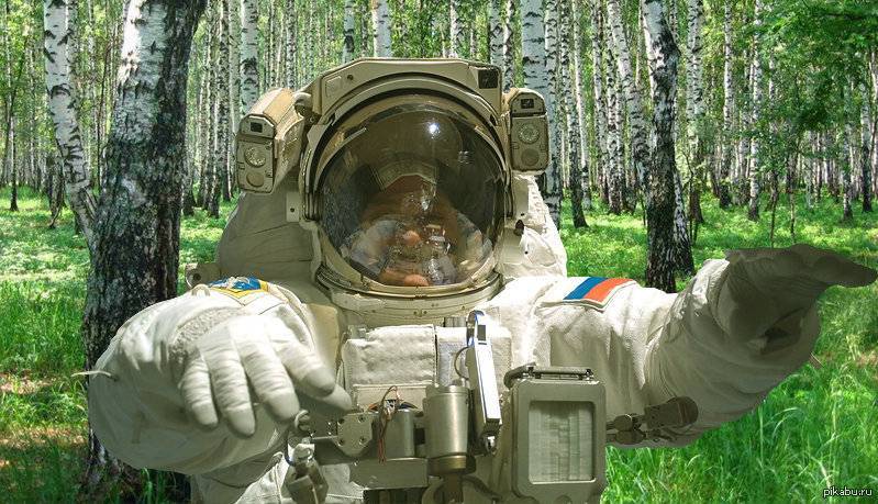 Смоляне стали лучше защищаться от клещей - readovka.ru