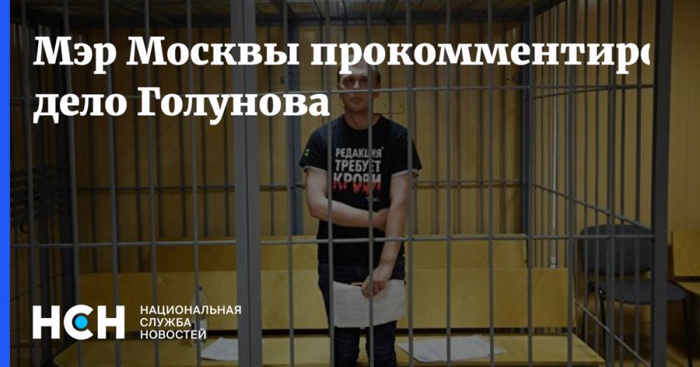 Владимир Колокольцев - Сергей Собянин - Иван Голунов - Мэр Москвы прокомментировал дело Голунова - nsn.fm - Москва - Россия