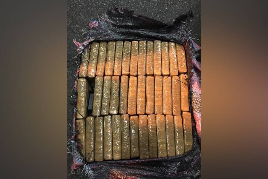 В порту Санкт-Петербурга таможенники изъяли 400 кг кокаина - m24.ru - Санкт-Петербург - Эквадор - район Ленинский
