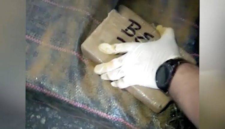 Владимир Кулишов - В порту Санкт-Петербурга нашли 400 кг кокаина из Эквадора - newtvnews.ru - Россия - Эквадор - Санкт-Петербург