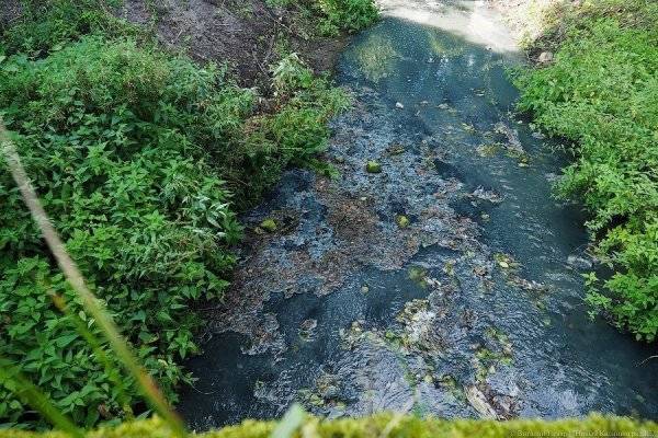 Горвласти назвали самый проблемный по сбросам фекалий в ручьи район города - newkaliningrad.ru - Калининград - Экология