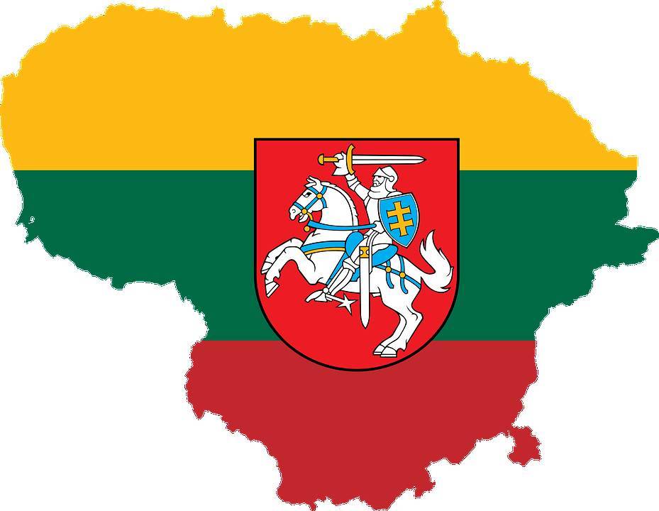 Раймундас Кароблис - Литва передала Украине почти миллион патронов - cursorinfo.co.il - Россия - Украина - Литва