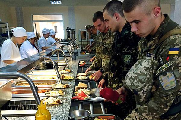 Что ест и кого кормит армия Украины - argumentua.com - Львов - Одесса