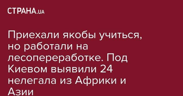 Приехали якобы учиться, но работали на лесопереработке. Под Киевом выявили 24 нелегала из Африки и Азии - strana.ua - Китай - Украина - Киев - Киевская обл. - Камерун - Нигерия - Конго - Кот Дивуар - Сьерра Леоне - район Бориспольский