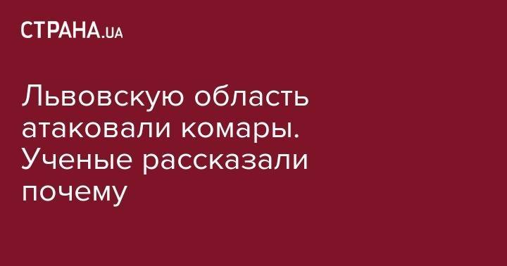 Львовскую область атаковали комары. Ученые рассказали почему - strana.ua - Львов