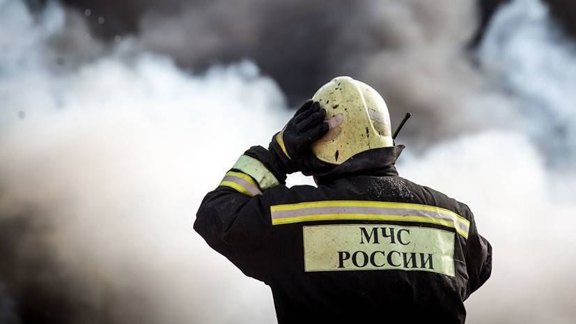 Лесной пожар в Самарской области локализован - russian.rt.com - Тюменская обл. - Самарская обл.