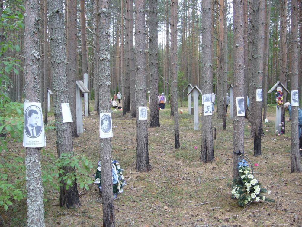 Эмилия Слабунова - Власти Карелии попросили понизить охранный статус кладбища жертв политических репрессий. Там можно будет вести земляные работы и строительство - theins.ru - Россия - Карелия