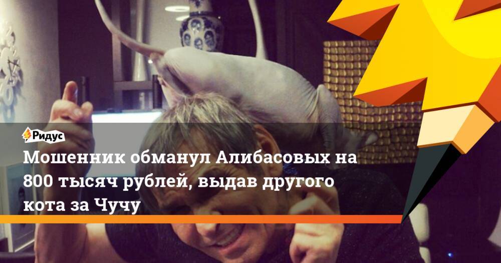 Бари Алибасов - Вадим Горжанкин - Мошенник обманул Алибасовых на 800 тысяч рублей, выдав другого кота за Чучу - ridus.ru - Москва