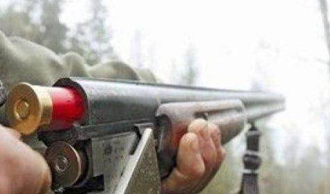 В Житомирской области мужчина из ружья подстрелил ребенка - trust.ua - Житомирская обл.