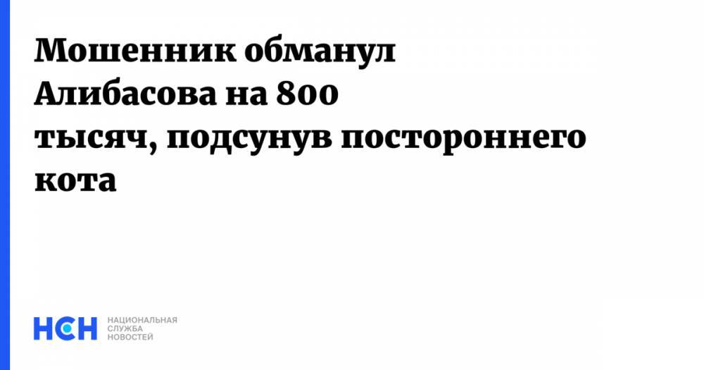 Вадим Горжанкин - Мошенник заочно надул Алибасова котом на 800 тысяч - nsn.fm
