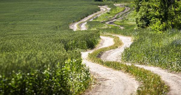 В Украине по-прежнему будет сухо и жарко - glavnoe.ua - Украина - Киев - Луганская обл. - Сумская обл. - Харьковская обл. - Винницкая обл.