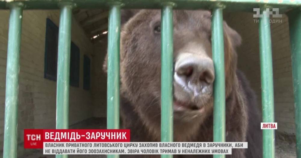 В Литве владелец частного зоопарка закрылся в клетке с медведем, чтобы не отдавать зверя - ru.tsn.ua - Литва