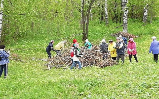 История Заречного парка города Глазова может попасть в эфир федерального телеканала - gorodglazov.com - Россия - Глазов
