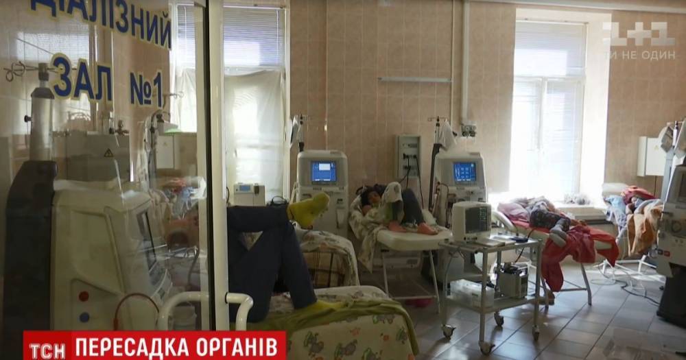 В Миргороде после переливания крови у роженицы отказали почки - ru.tsn.ua - Полтава