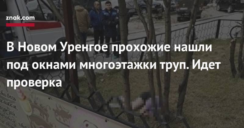 В&nbsp;Новом Уренгое прохожие нашли под окнами многоэтажки труп. Идет проверка - znak.com - окр. Янао - Новый Уренгой