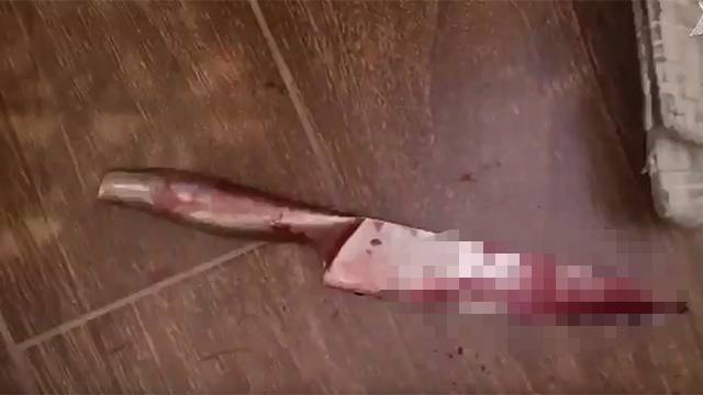 Максим Соколов - Первые кадры из дома, где зарезали жену и сына экс-вратаря сборной РФ по хоккею Соколова - ren.tv - Россия