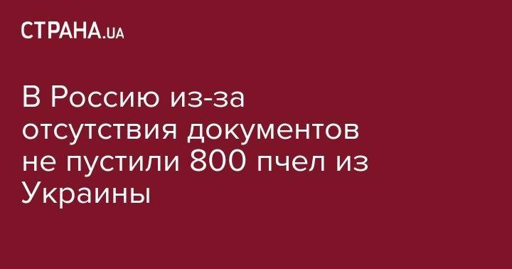 В Россию из-за отсутствия документов не пустили 800 пчел из Украины - strana.ua - Россия - Украина - Белгородская обл. - респ. Чечня