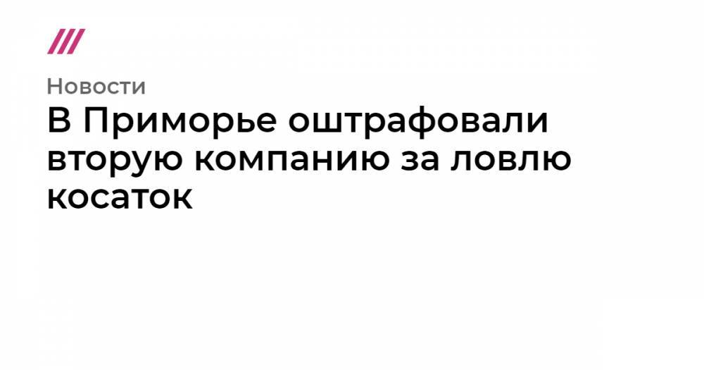 В Приморье оштрафовали вторую компанию за ловлю косаток - tvrain.ru - Китай - Приморье край