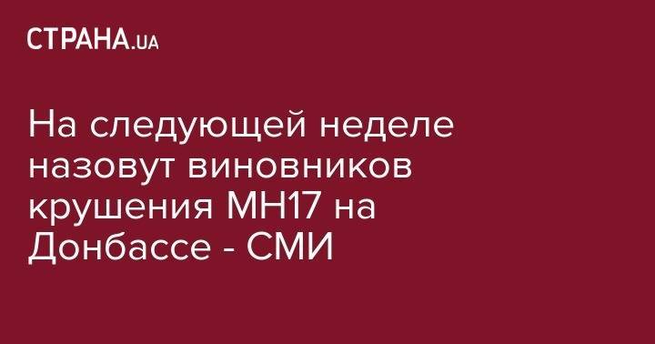 На следующей неделе назовут виновников крушения MH17 на Донбассе - СМИ - strana.ua - Украина - Бельгия - Австралия - Голландия - Малайзия