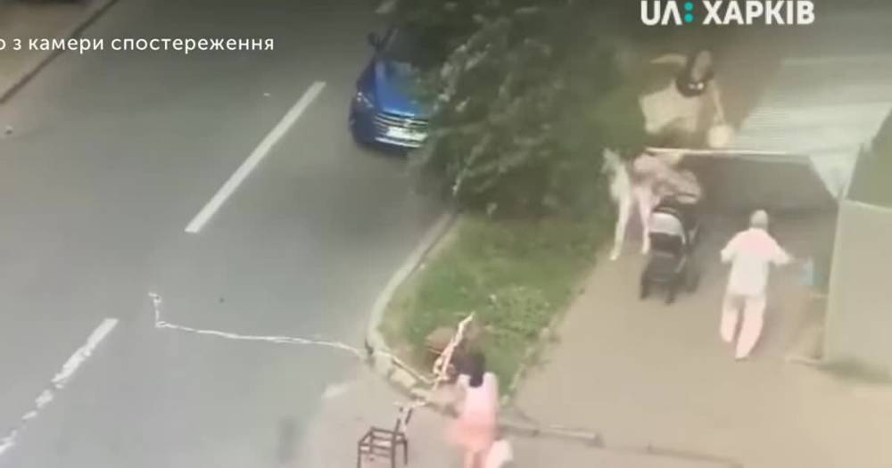 В Харькове металлическая ограда упала на женщину с детской коляской и ее дочь. Инцидент попал на видео - ru.tsn.ua - Харьков - Харьков
