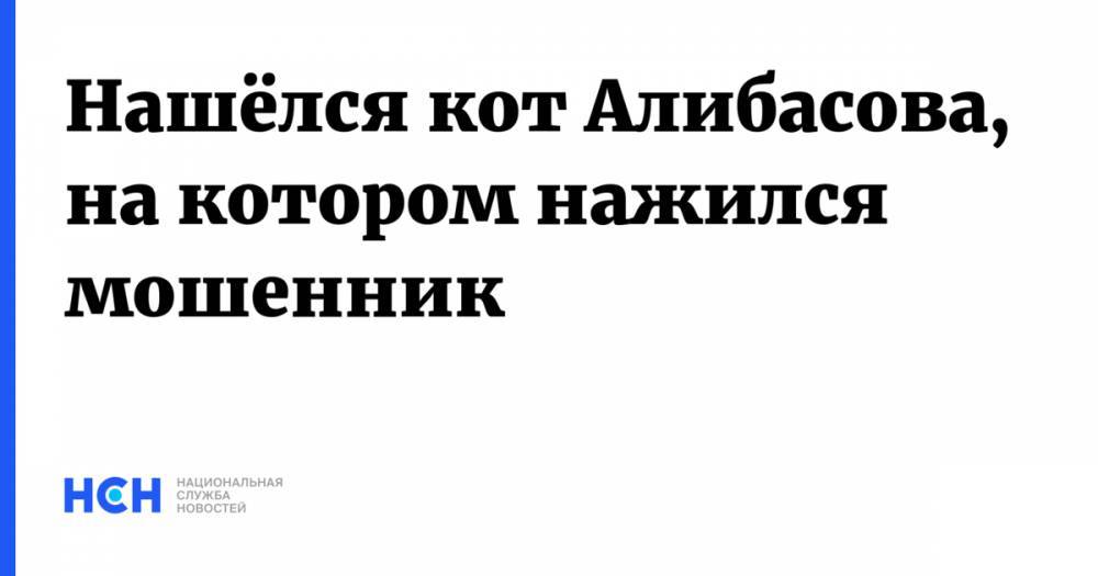Вадим Горжанкин - Нашёлся кот Алибасова, на котом нажился мошенник - nsn.fm - Москва
