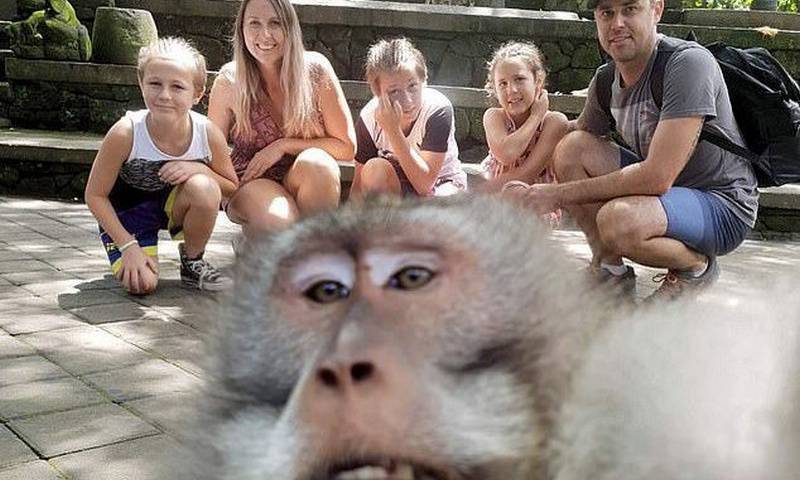 Обезьяна отобрала у туристов фотоаппарат и сняла всё, что о них думает - bloknot.ru - Индонезия