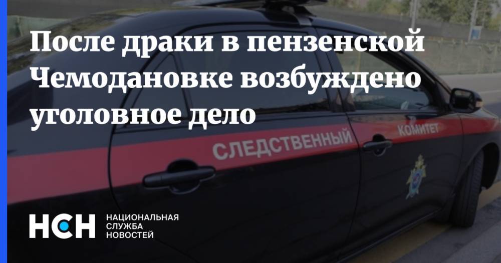 После драки в пензенской Чемодановке возбуждено уголовное дело - nsn.fm - Россия - Пензенская обл. - район Бессоновский