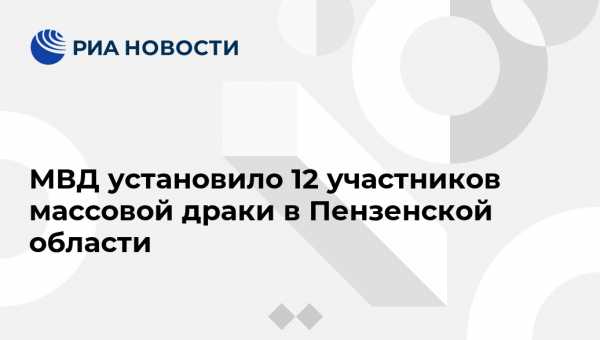 МВД установило 12 участников массовой драки в Пензенской области - vestirossii.com - Россия - Пензенская обл. - Пенза - район Бессоновский