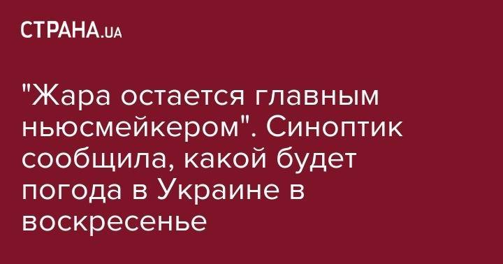 Наталья Диденко - "Жара остается главным ньюсмейкером". Синоптик сообщила, какой будет погода в Украине в воскресенье - strana.ua - Украина - Киевская обл. - обл. Донецкая - Луганская обл. - Харьковская обл. - Винницкая обл.