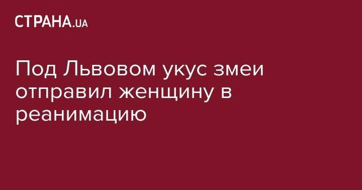 Под Львовом укус змеи отправил женщину в реанимацию - strana.ua - Львовская обл.
