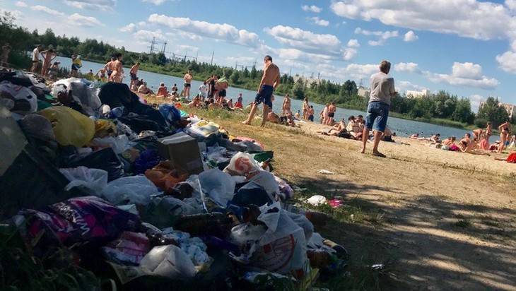 Брянские мыслители подрались в спорах об истоках свинства на пляже - bragazeta.ru - Брянск