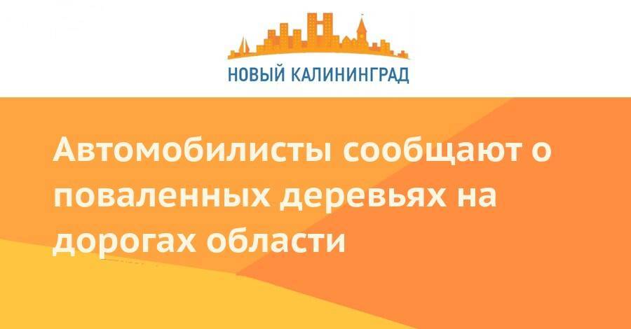 Автомобилисты сообщают о поваленных деревьях на дорогах области - newkaliningrad.ru - Светлогорск