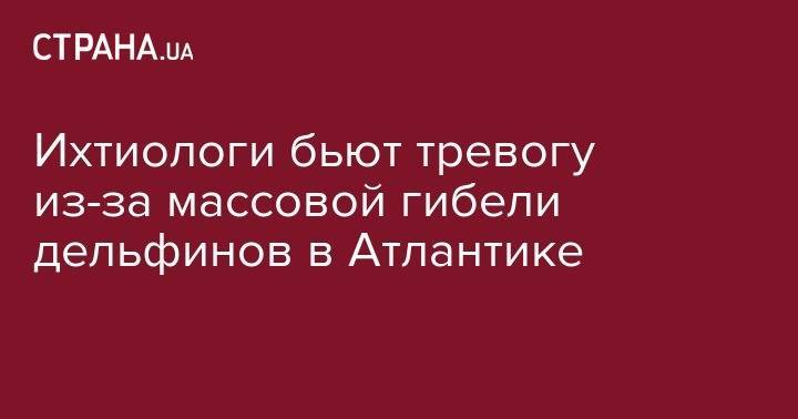 Ихтиологи бьют тревогу из-за массовой гибели дельфинов в Атлантике - strana.ua - США - шт.Флорида - штат Луизиана - штат Алабама - штат Миссисипи