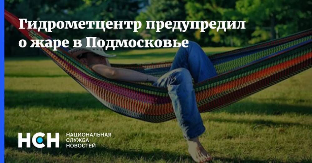 Роман Вильфанд - Гидрометцентр предупредил о жаре в Подмосковье - nsn.fm - Москва - Россия - Московская обл.