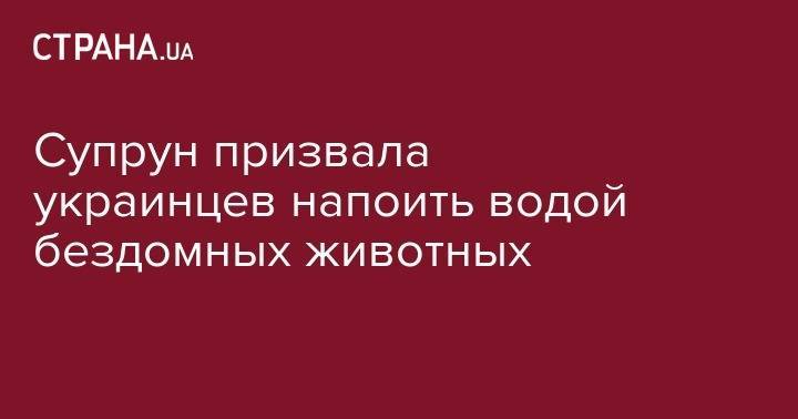 Ульяна Супрун - Супрун призвала украинцев напоить водой бездомных животных - strana.ua - Украина