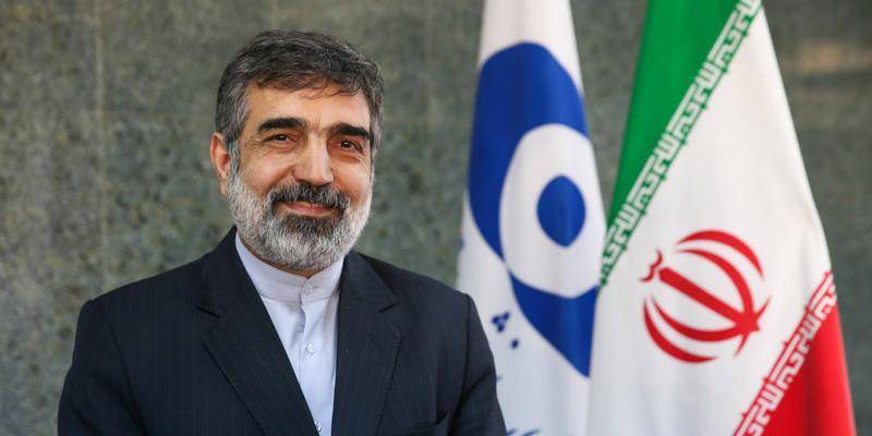 Бехруз Камальванди - Иран пригрозил превысить лимит по обогащению урана через 10 дней - ruposters.ru - Иран - Тегеран